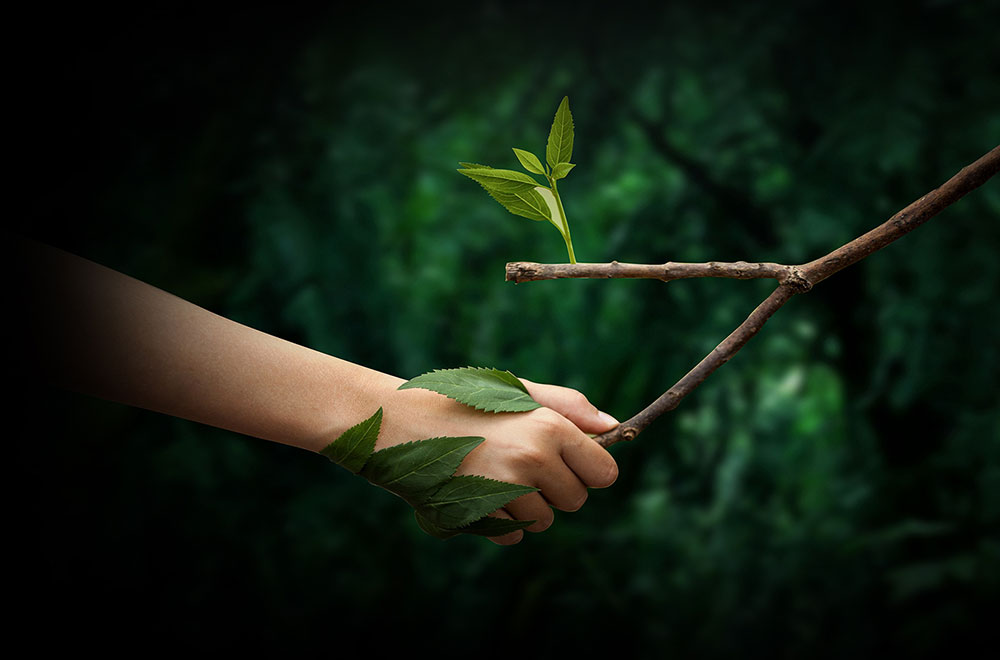 Sostenibilit&agrave;