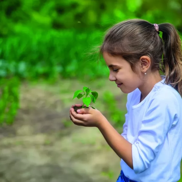 Centro cottura digitale