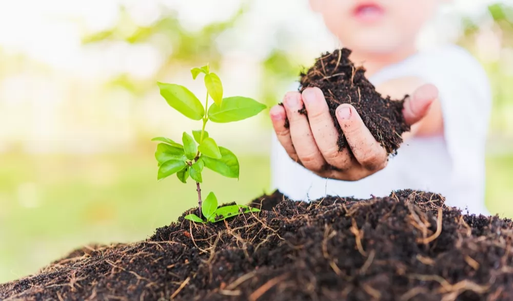 Ristorazione Scolastica